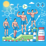 Effet du propionate de testostérone sur la synthèse endogène de testostérone